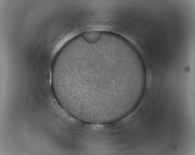 X0000115071317200911171121