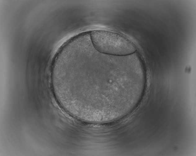 X0000115071318200911171121