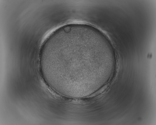 X0000115071319200911171121