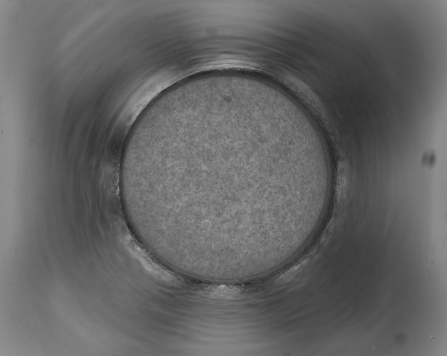 X0000115071321200911171121