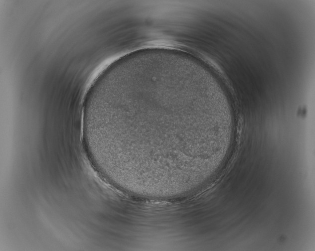 X0000115071323200911171121