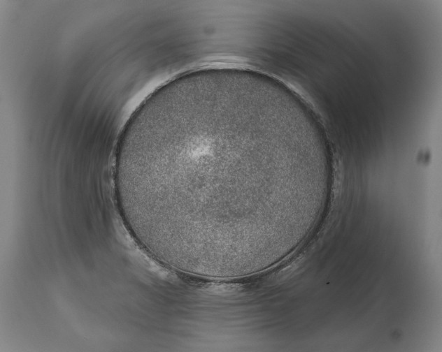 X0000115071325200911171121