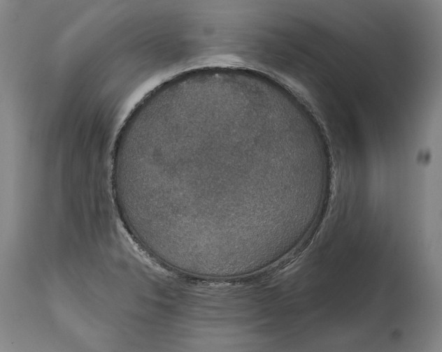 X0000115071326200911171121