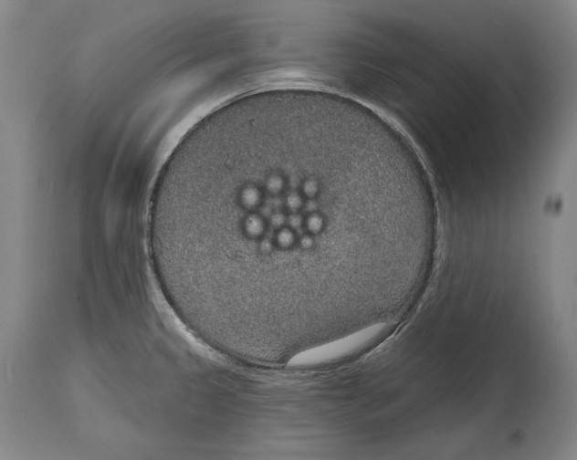 X0000115071333200911171121