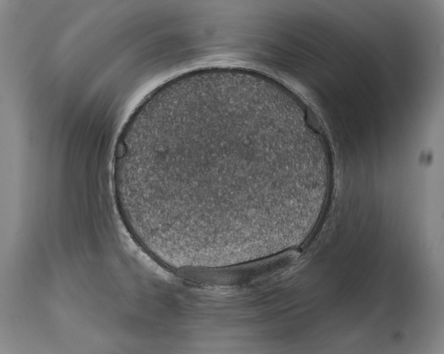 X0000115071334200911171121