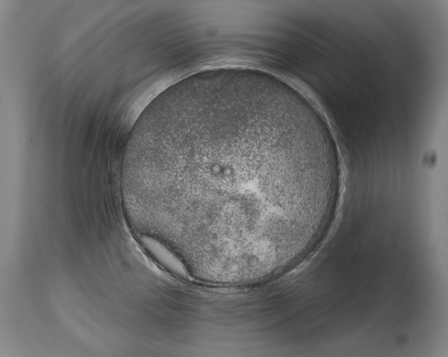 X0000115071337200911171122