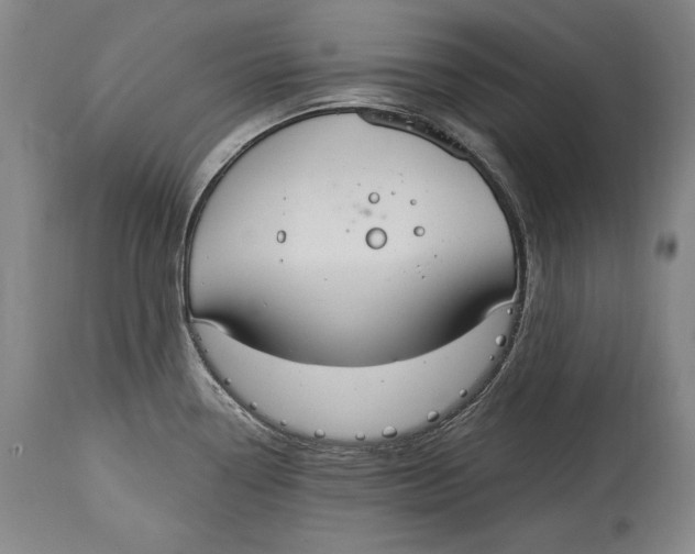 X0000115071338200911171122