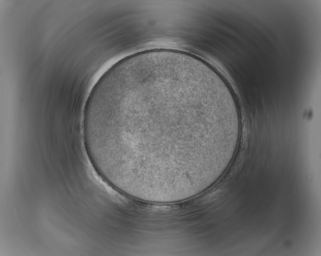 X0000115071339200911171122