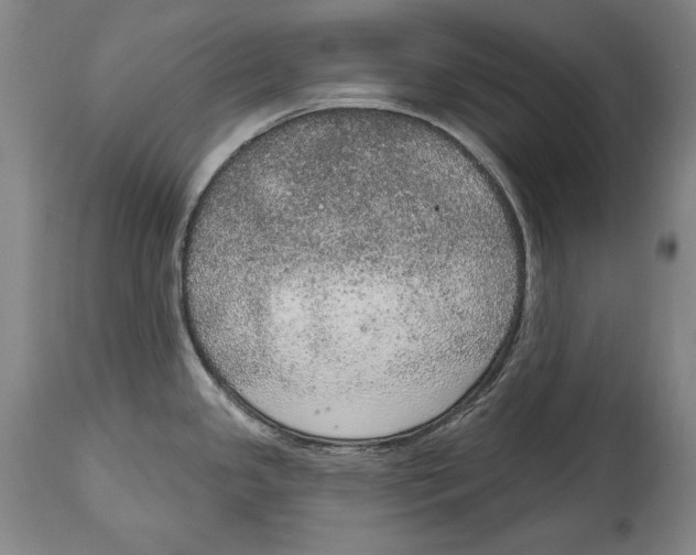 X0000115071341200911171122
