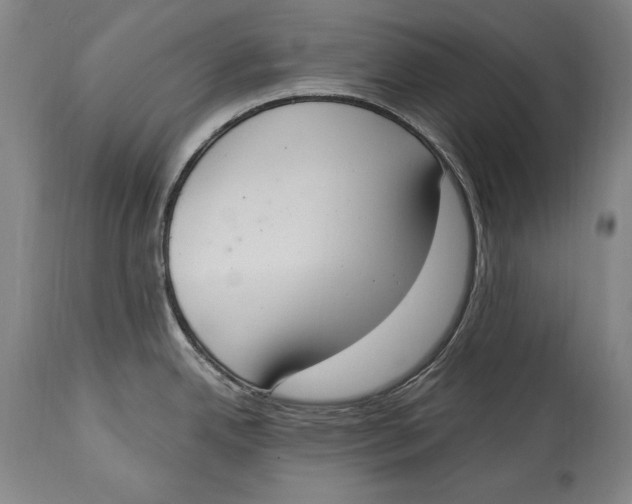 X0000115071342200911171122