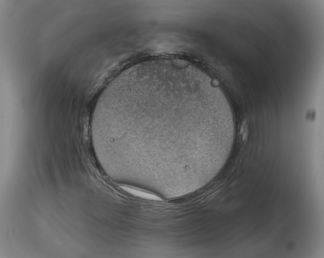 X0000115071348200911171121