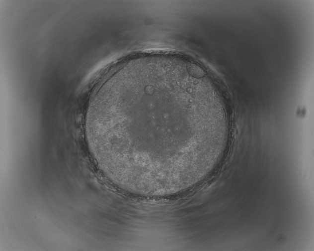 X0000115071351200911171121