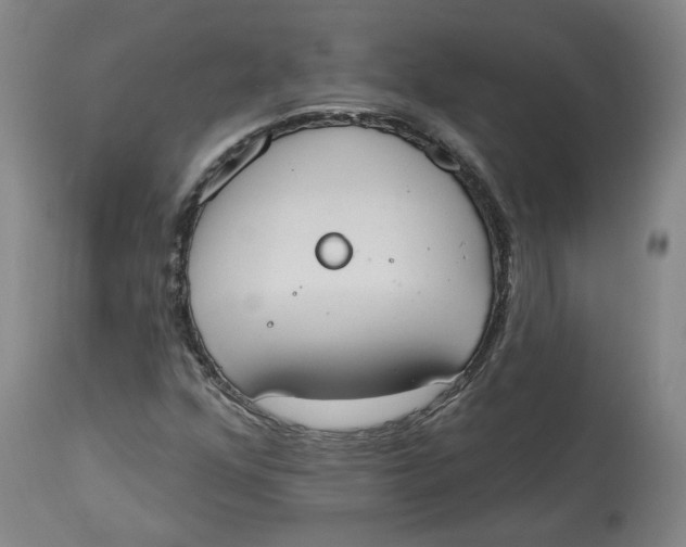 X0000115071352200911171121