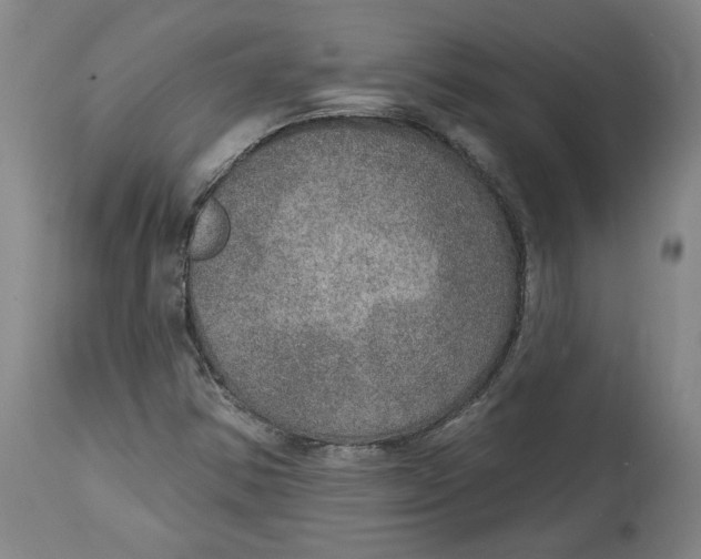X0000115071354200911171121