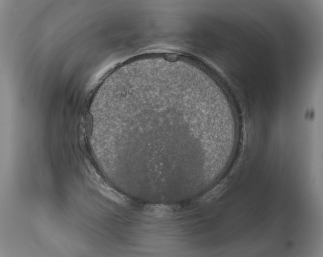 X0000115071355200911171121