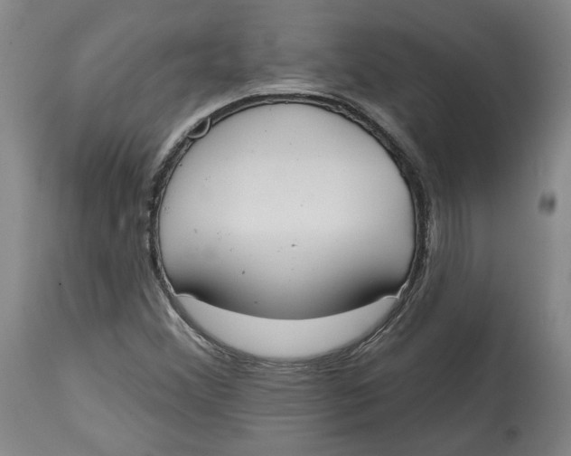 X0000115071356200911171121
