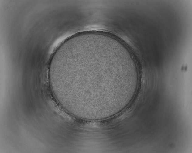 X0000115071358200911171121