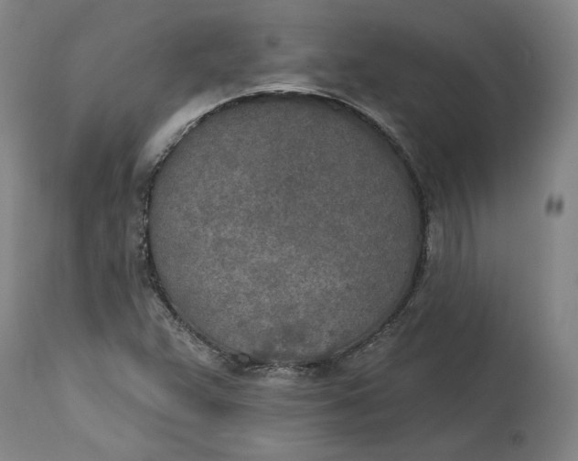 X0000115071359200911171121