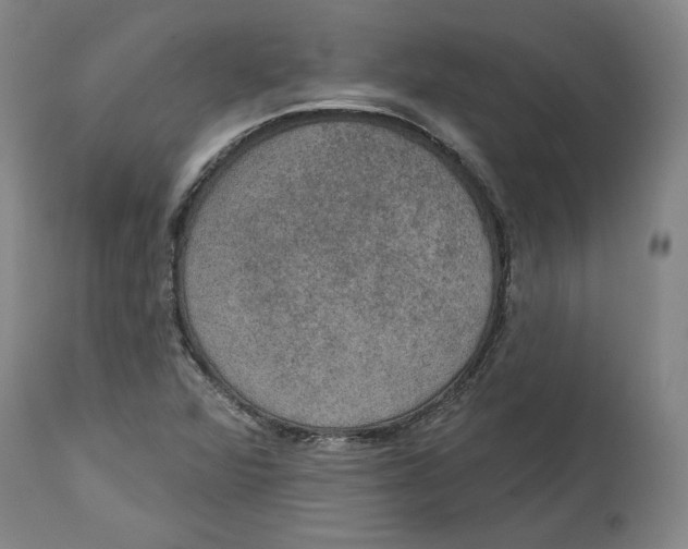 X0000115071360200911171121
