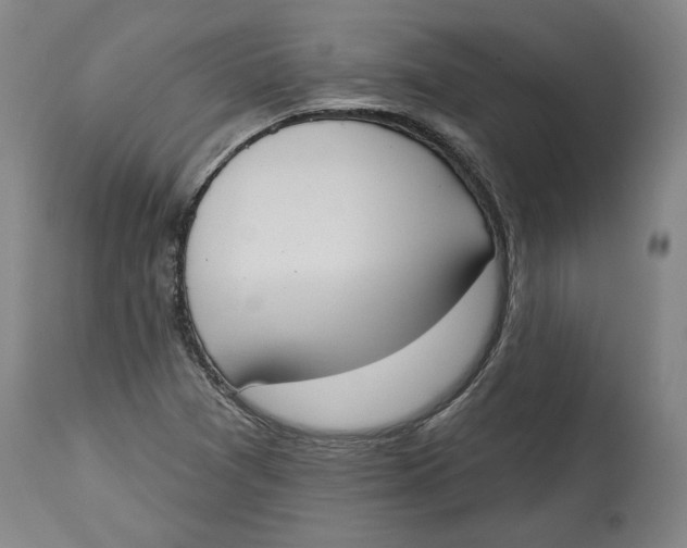 X0000115071361200911171121