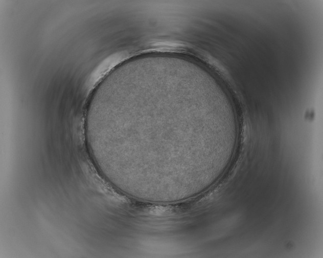 X0000115071362200911171121