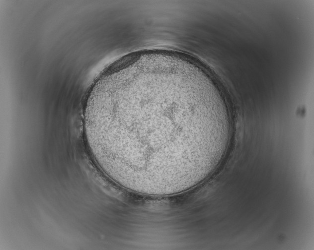 X0000115071363200911171121