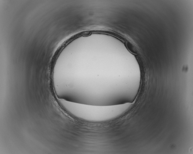 X0000115071364200911171121