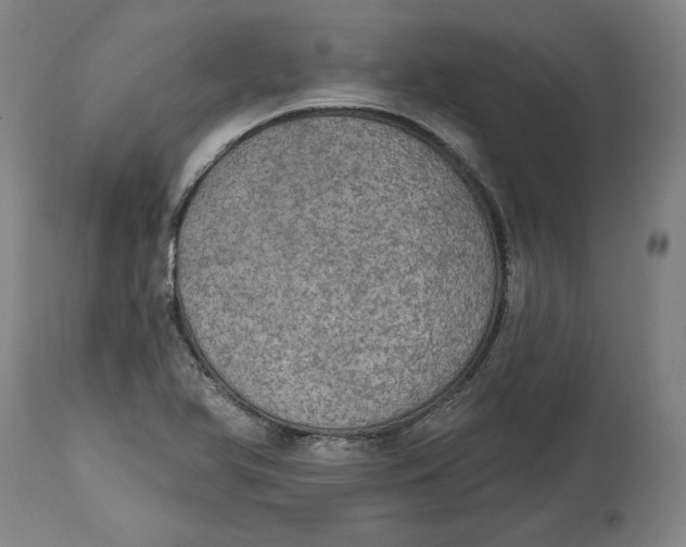 X0000115071366200911171121