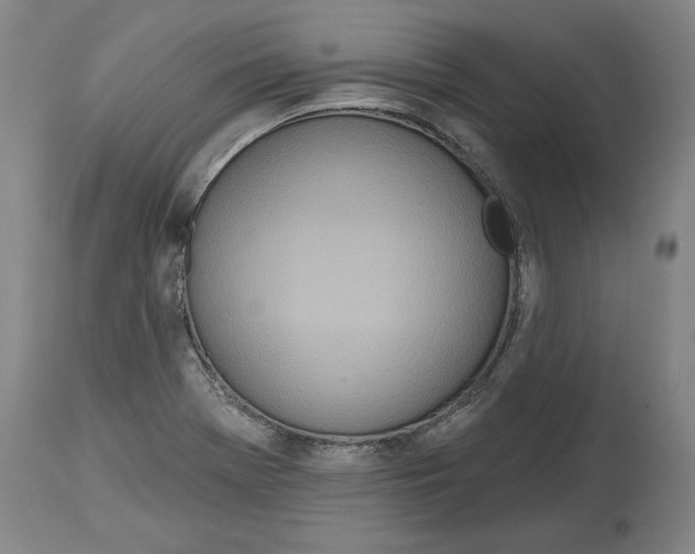 X0000115071369200911171120