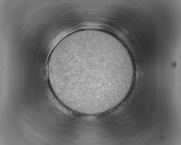 X0000115071370200911171120