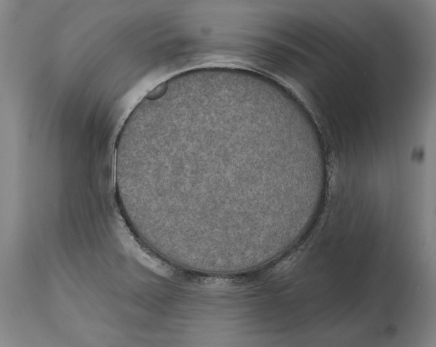 X0000115071371200911171120