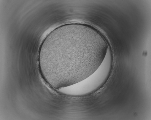 X0000115071373200911171120