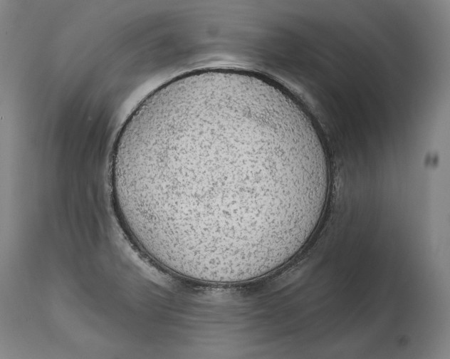 X0000115071375200911171120