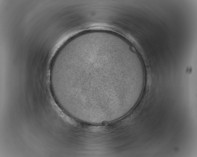 X0000115071376200911171120