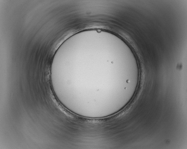 X0000115071377200911171120