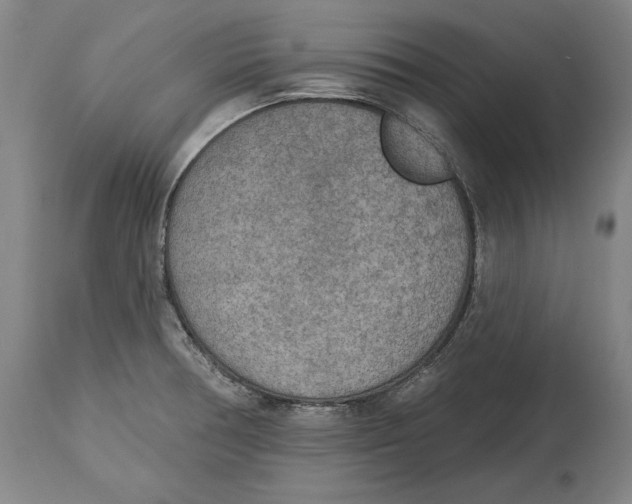 X0000115071378200911171120