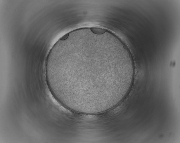 X0000115071382200911171120