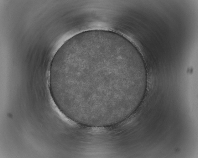 X0000115071383200911171120