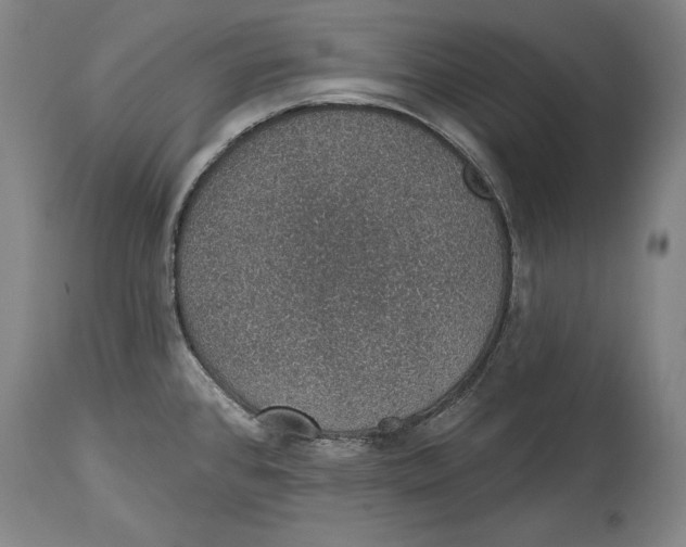 X0000115071384200911171120