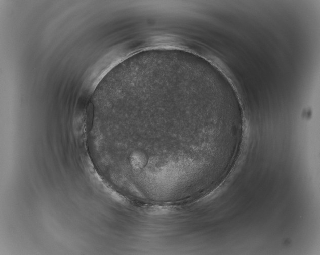 X0000115071385200911171120