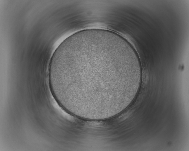 X0000115071387200911171120