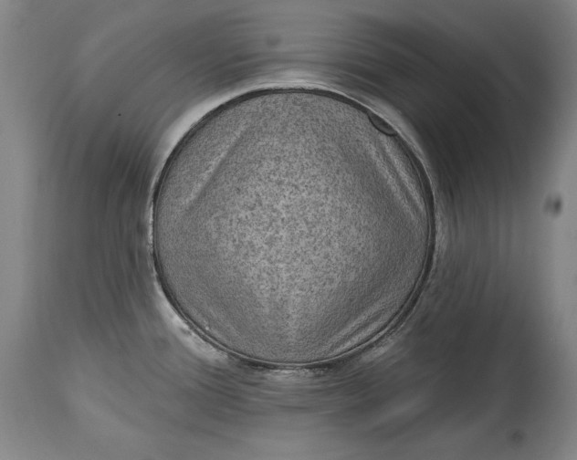 X0000115071388200911171120