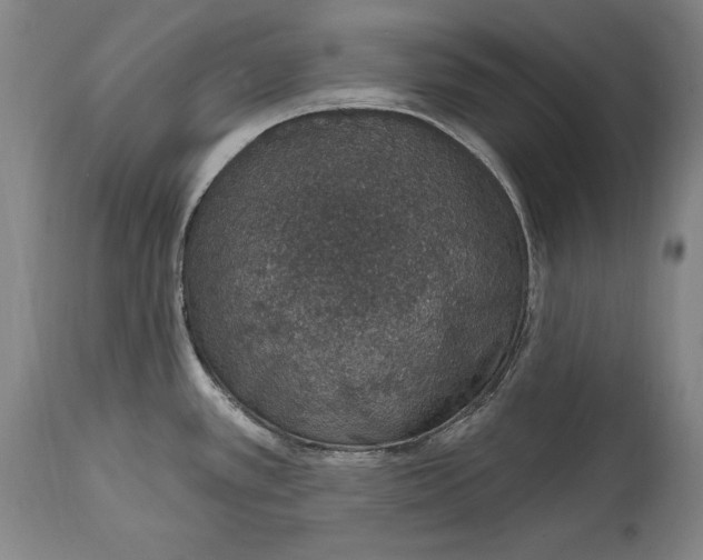 X0000115071389200911171120