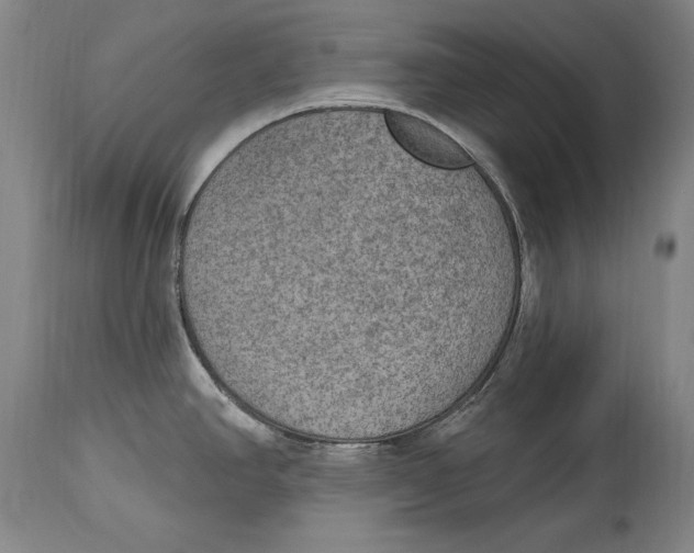 X0000115071390200911171120