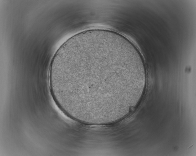 X0000115071391200911171120