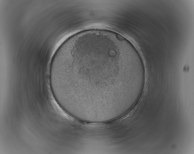 X0000115071392200911171120