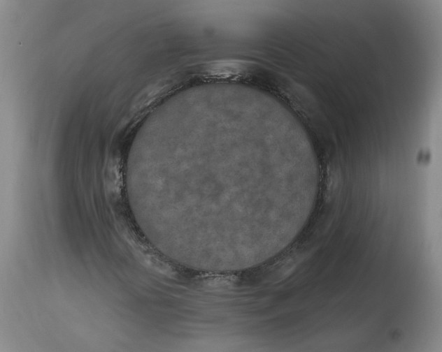 X0000115071394200911171119