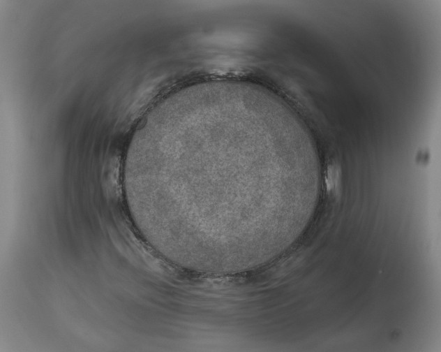 X0000115071396200911171120