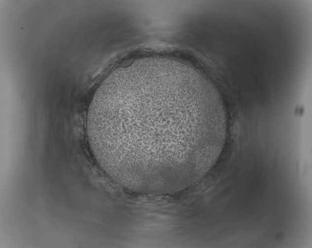 X0000115071397200911171120