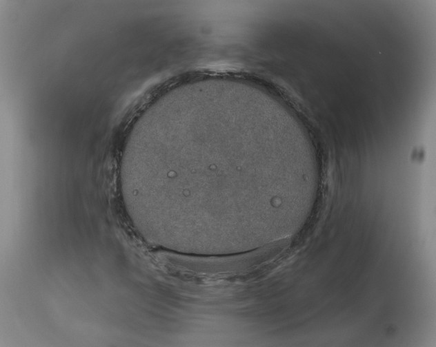X0000115071398200911171120